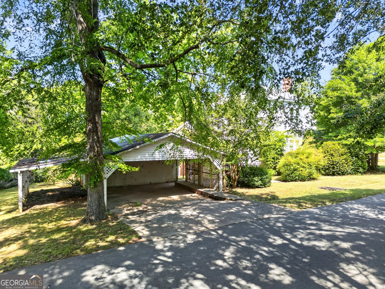 187 Morgan Street Senoia - Photo 46