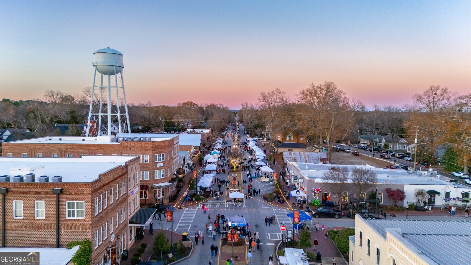 187 Morgan Street Senoia - Photo 49