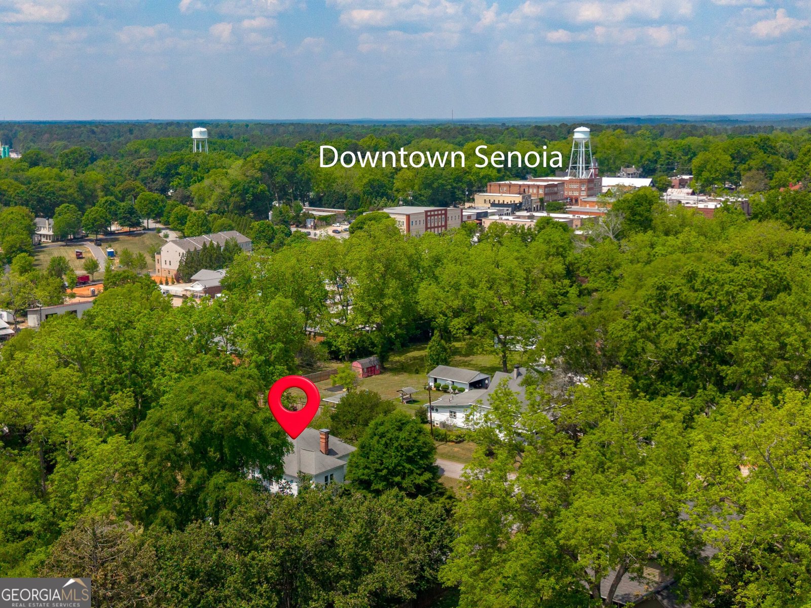 187 Morgan Street Senoia - Photo 50