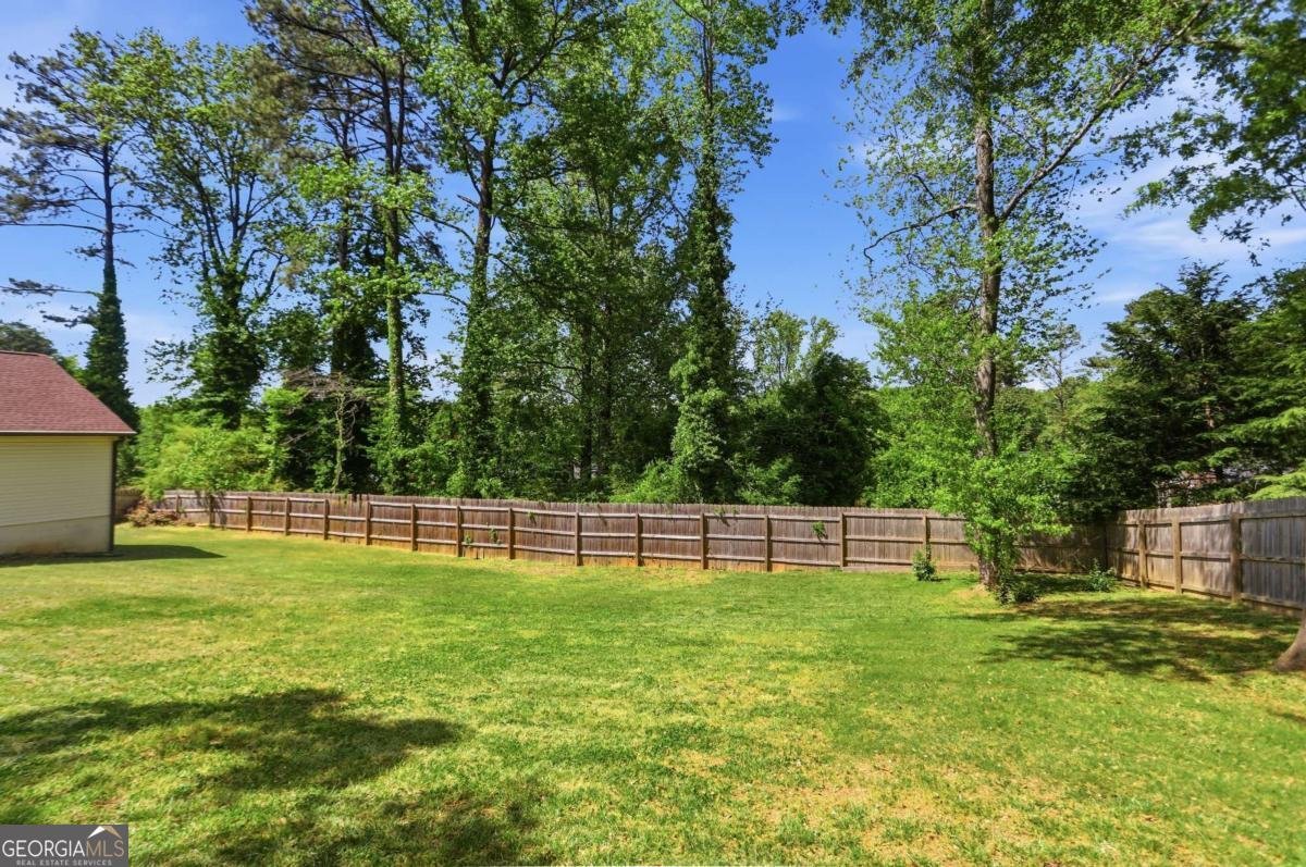 2989 Beechwood Drive Lithia Springs - Photo 35