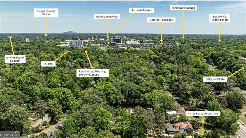 841 Ponce de Leon Avenue Decatur - Photo 42