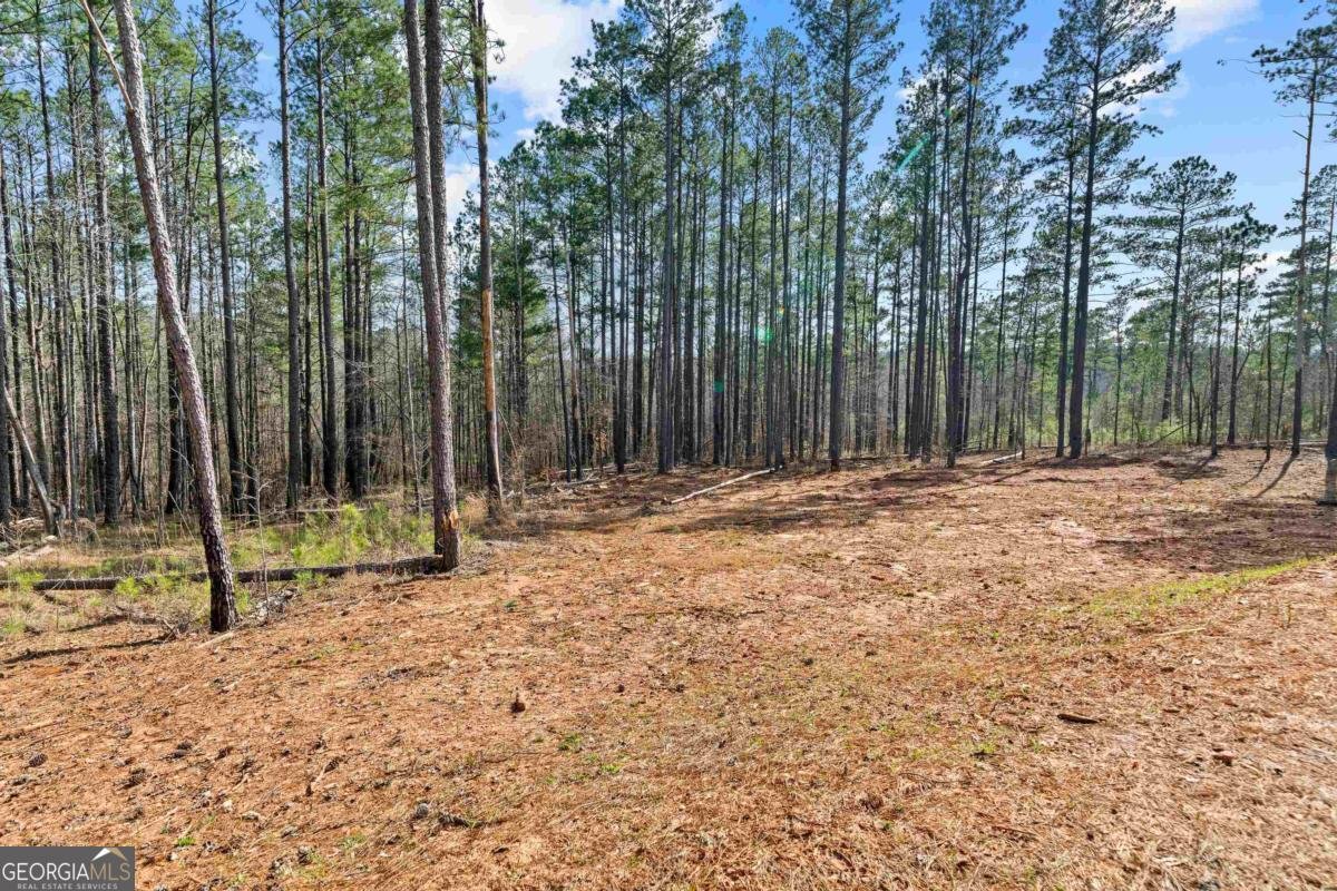 191 Crooked Creek Bay Road Eatonton - Photo 37