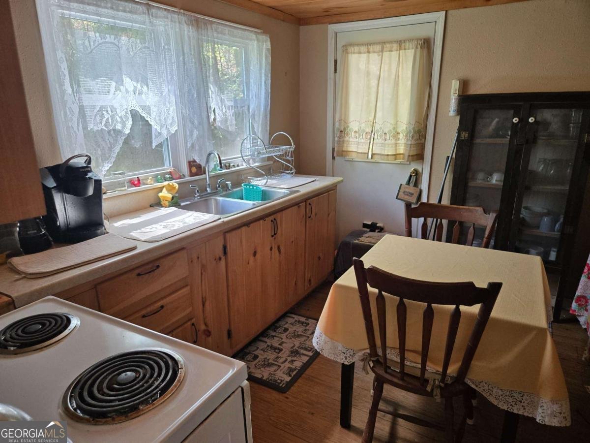 4320 Mineral Bluff Highway Mineral Bluff - Photo 10