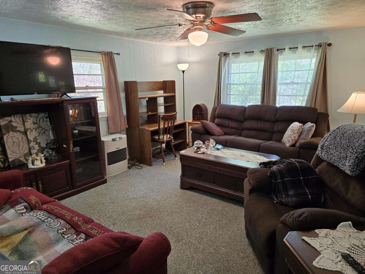 4320 Mineral Bluff Highway Mineral Bluff - Photo 11