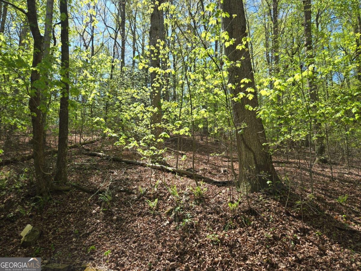 4320 Mineral Bluff Highway Mineral Bluff - Photo 16