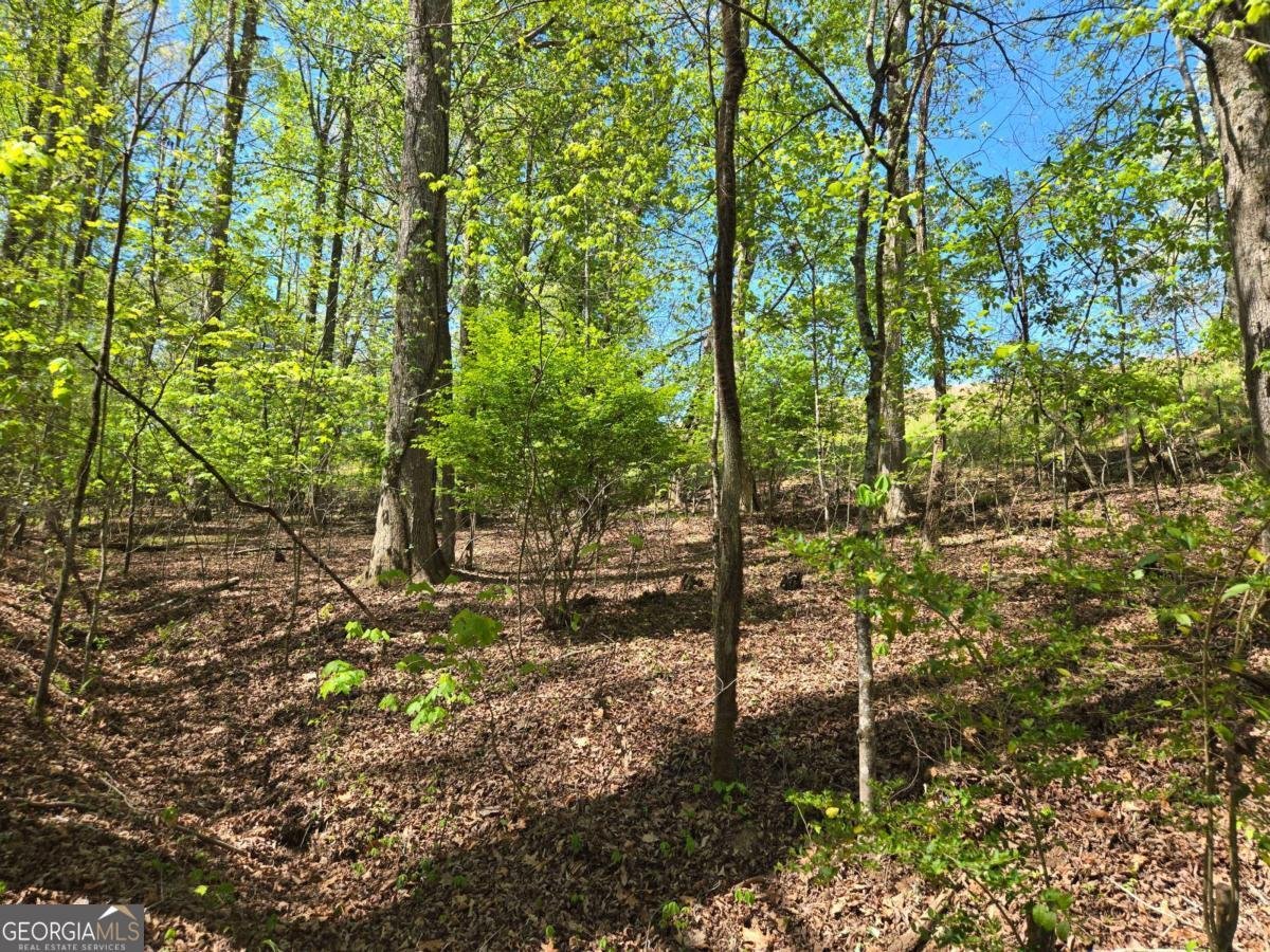 4320 Mineral Bluff Highway Mineral Bluff - Photo 17