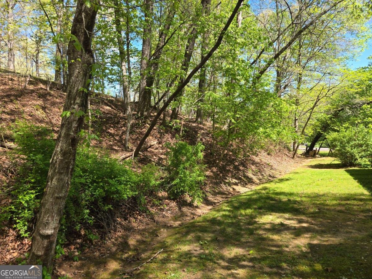 4320 Mineral Bluff Highway Mineral Bluff - Photo 18