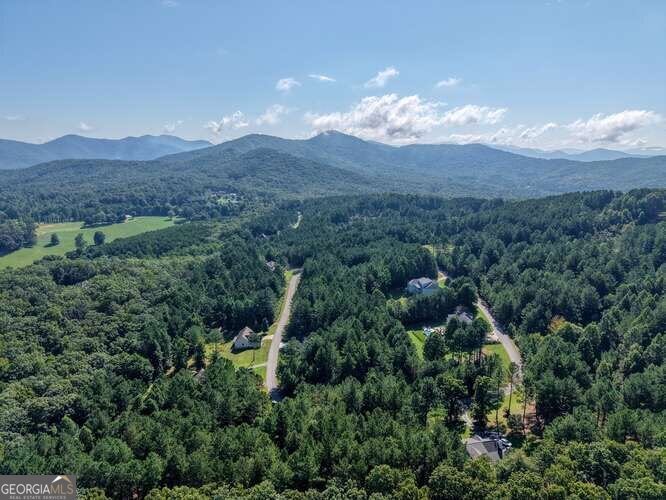 345 Loftis Mountain Way Blairsville - Photo 49