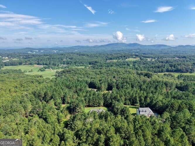 345 Loftis Mountain Way Blairsville - Photo 50