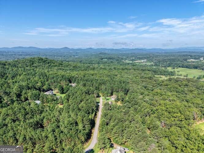 345 Loftis Mountain Way Blairsville - Photo 51