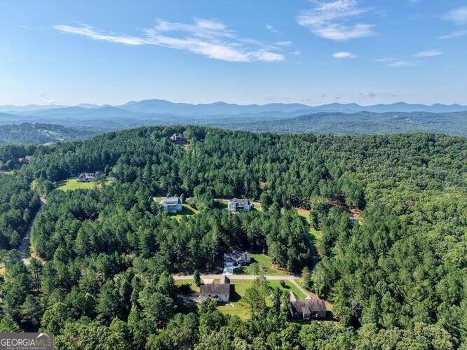 345 Loftis Mountain Way Blairsville - Photo 52