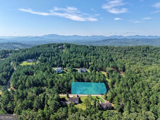 345 Loftis Mountain Way Blairsville - Photo 53