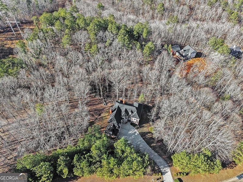 129 Preserve Parkway Ball Ground - Photo 62