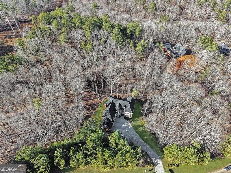 129 Preserve Parkway Ball Ground - Photo 63