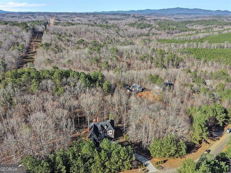 129 Preserve Parkway Ball Ground - Photo 64