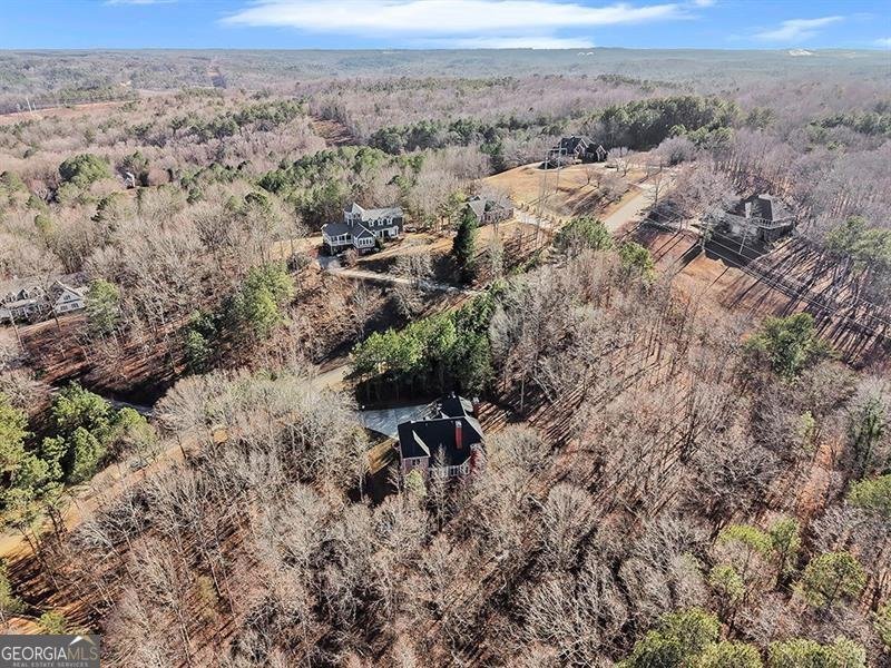 129 Preserve Parkway Ball Ground - Photo 66