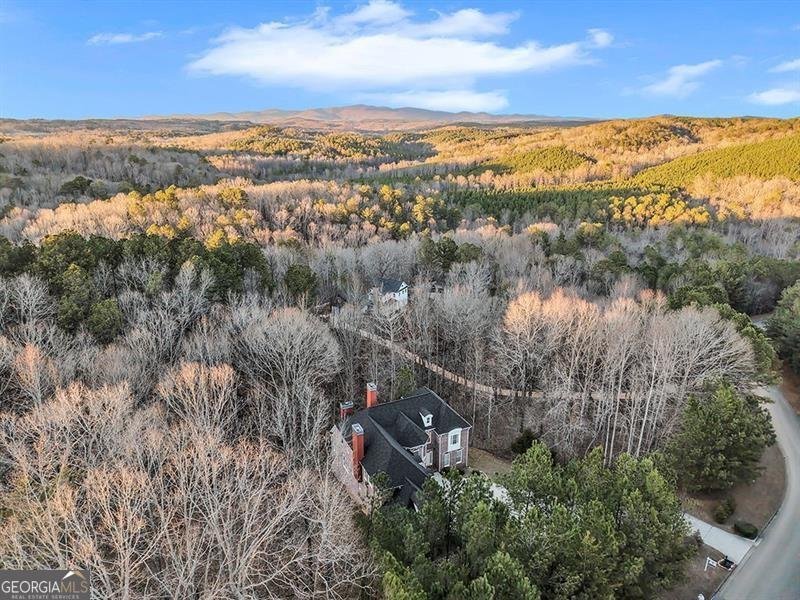 129 Preserve Parkway Ball Ground - Photo 68