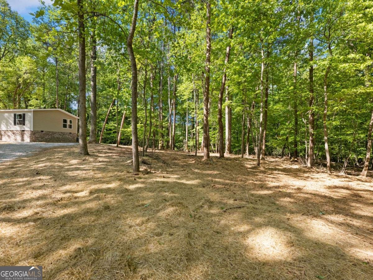 3045 Fowler Road Gainesville - Photo 36