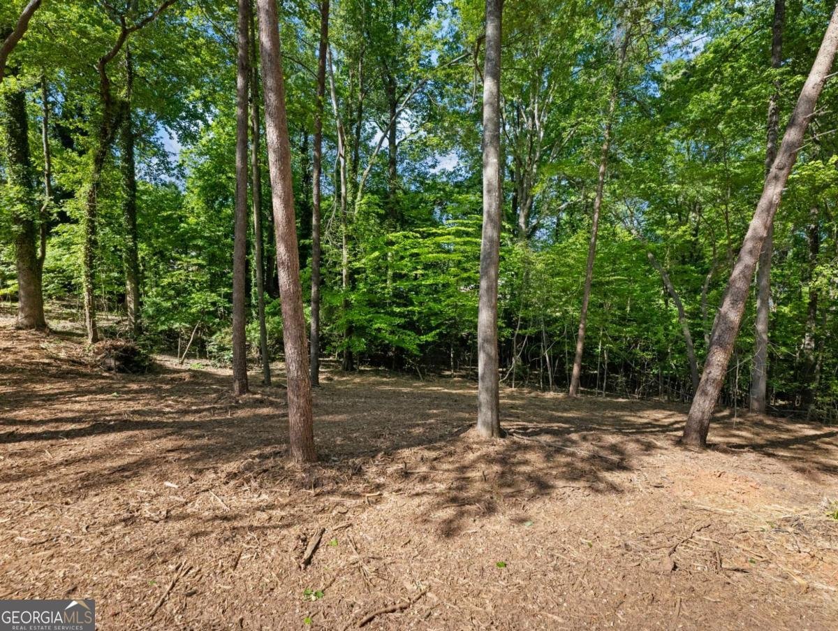 3045 Fowler Road Gainesville - Photo 42