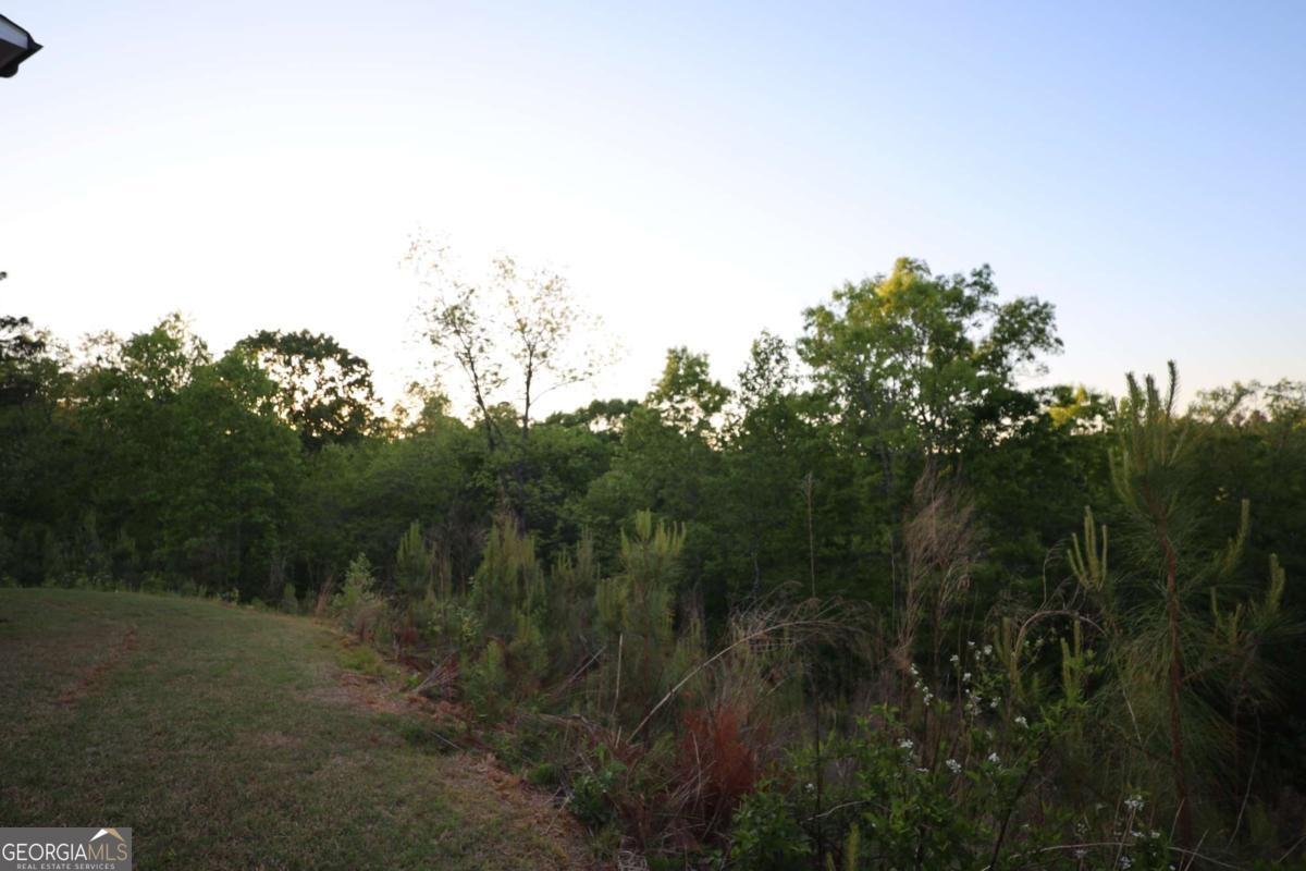 342 Sweet Plum Trail Dallas - Photo 59