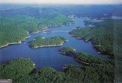 40 Wey Bridge Court White - Photo 47