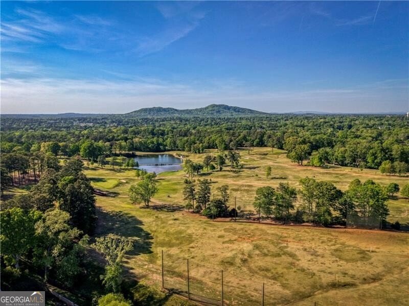 351 Senna Street Marietta - Photo 49