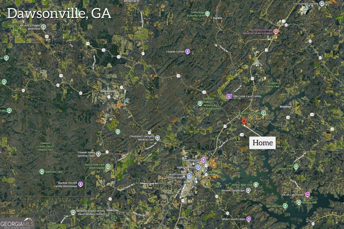 284 Moss Road Dawsonville - Photo 41