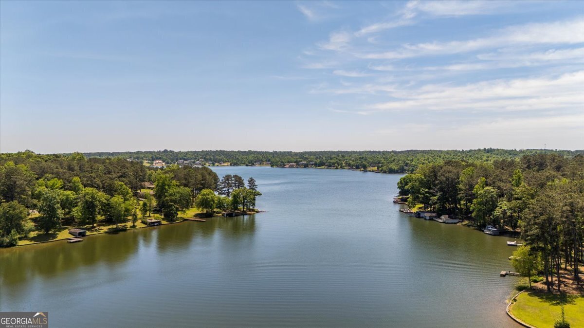 7287 Moseley Dixon Road Macon - Photo 67