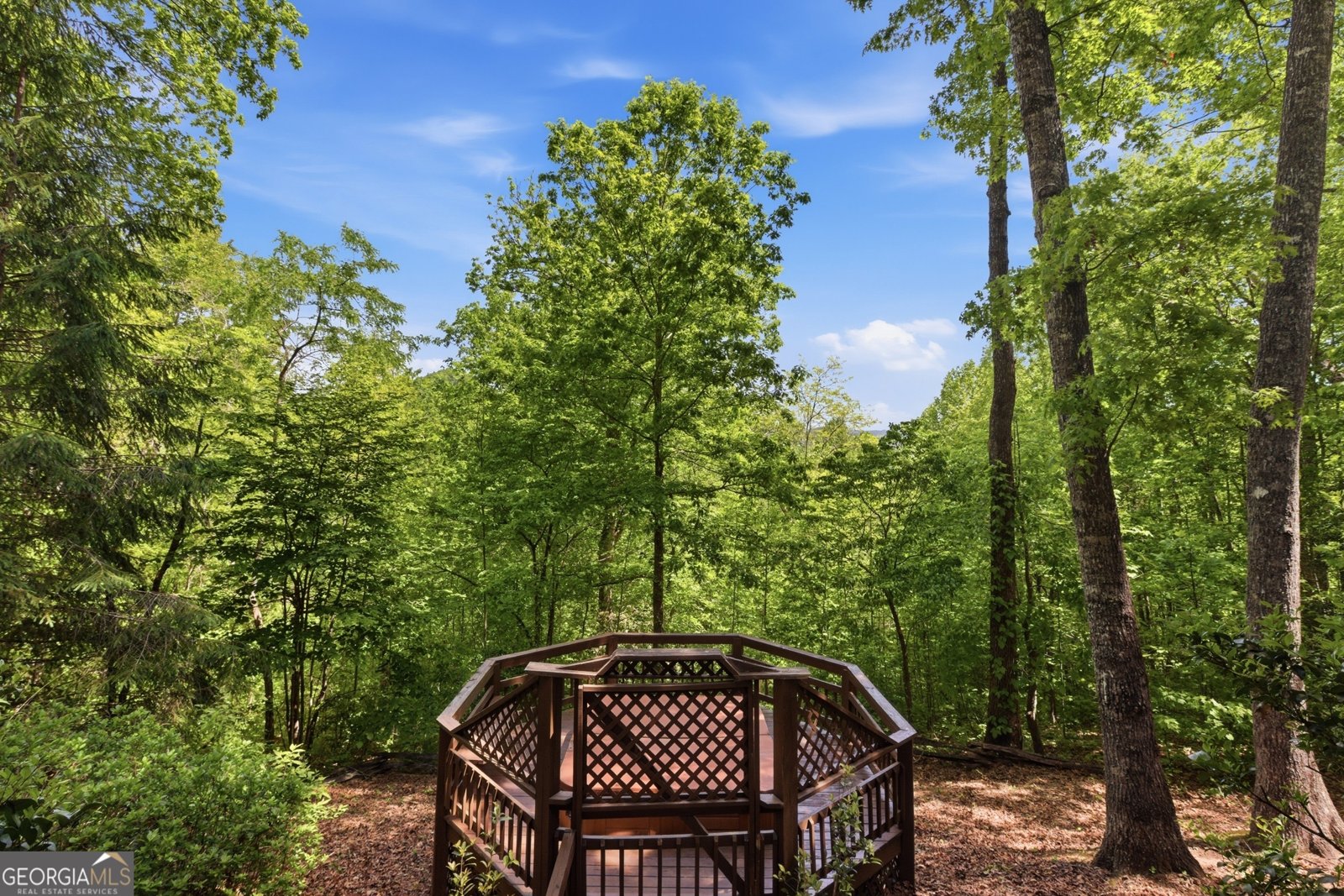 350 Whitetail Trail Clayton - Photo 38