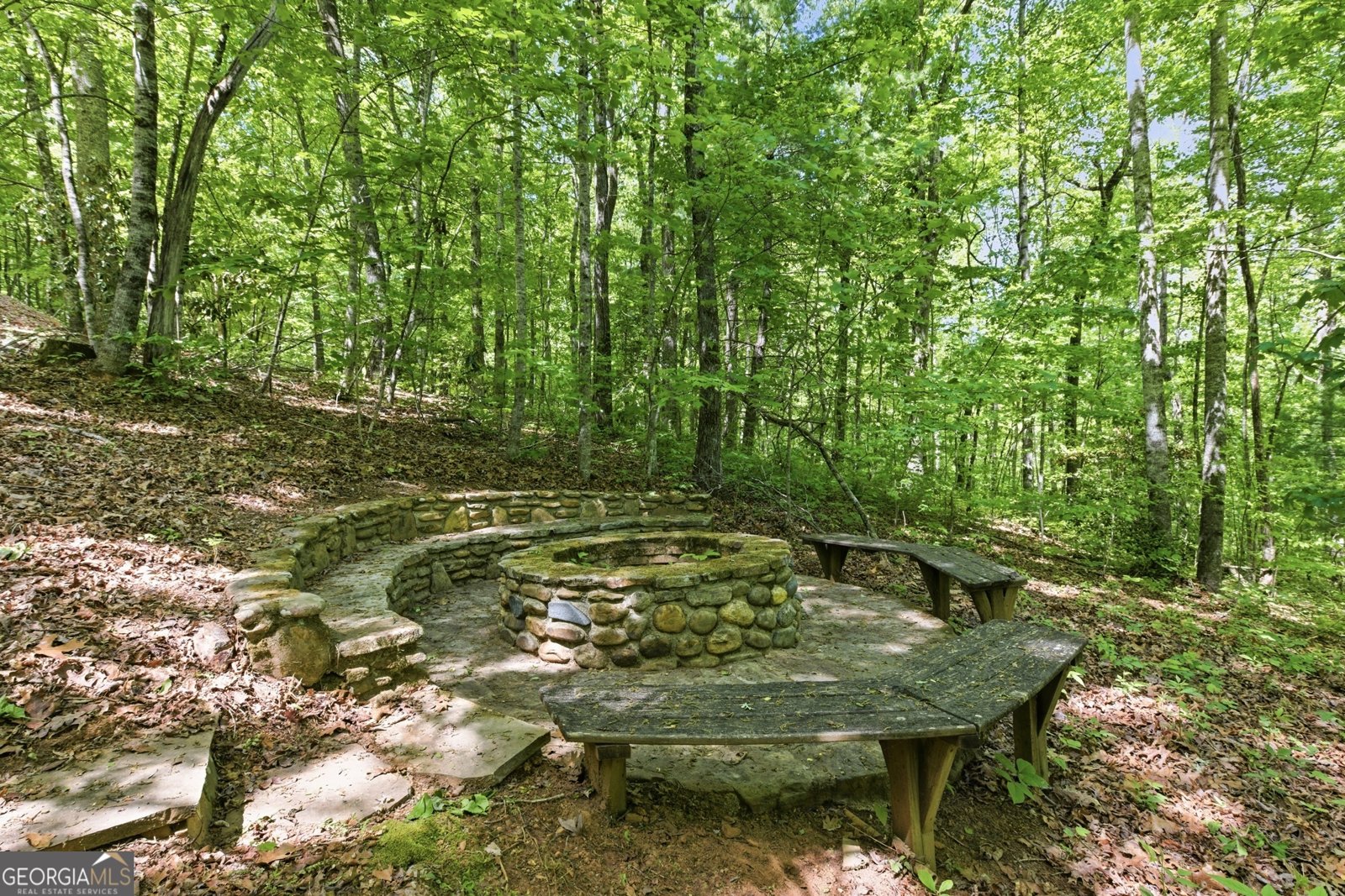 350 Whitetail Trail Clayton - Photo 53