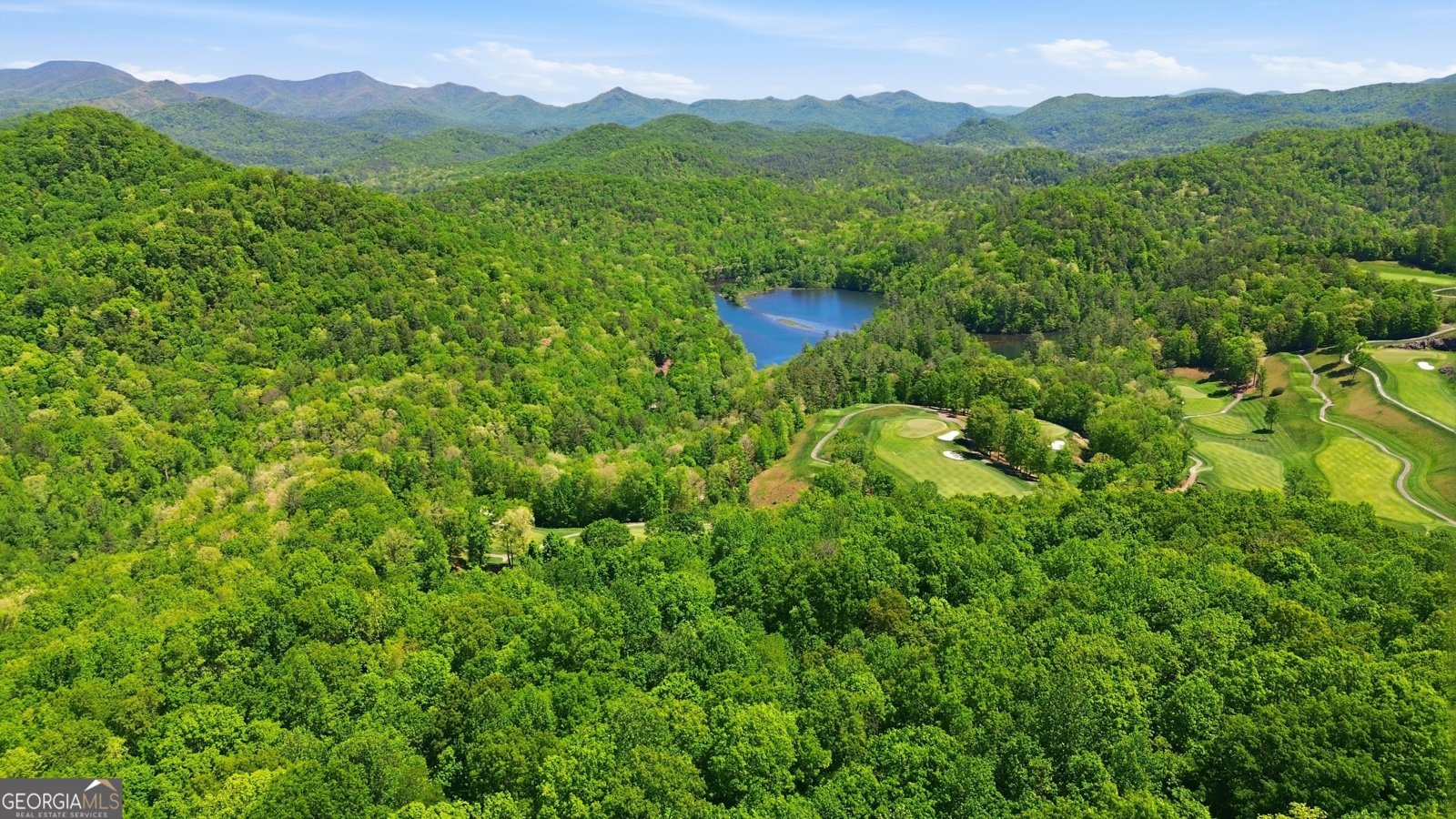 350 Whitetail Trail Clayton - Photo 54