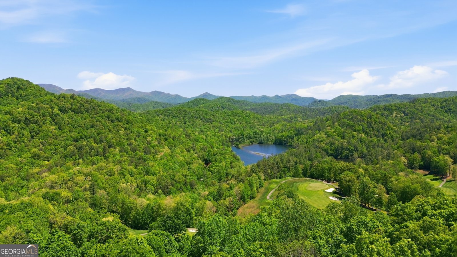 350 Whitetail Trail Clayton - Photo 55