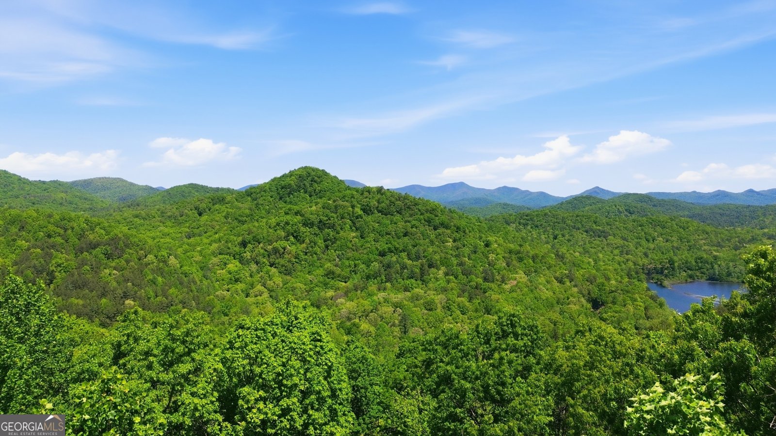350 Whitetail Trail Clayton - Photo 57