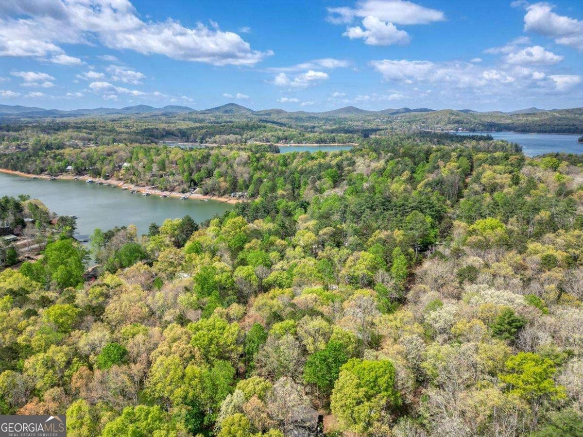 78 Hunter Drive Blairsville - Photo 40