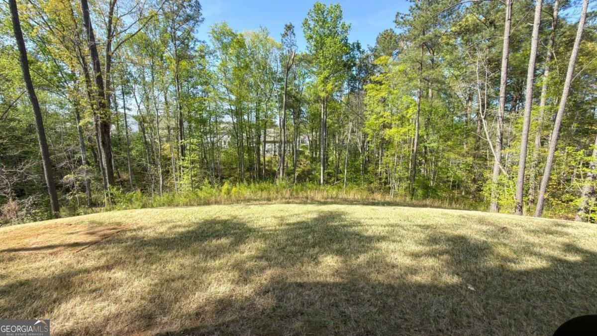 832 Brown Thrasher Way Bremen - Photo 36