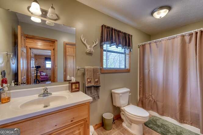 330 Mattie Lane Blairsville - Photo 34