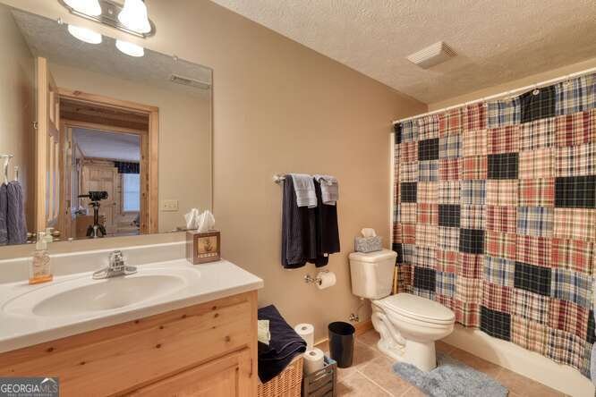 330 Mattie Lane Blairsville - Photo 45