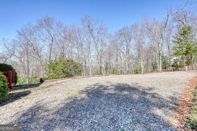 330 Mattie Lane Blairsville - Photo 53