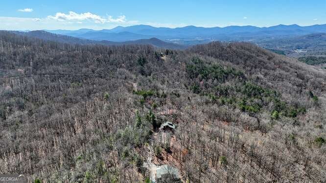 330 Mattie Lane Blairsville - Photo 57