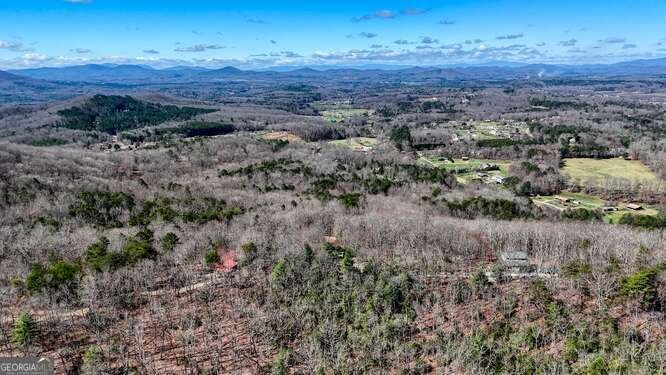 330 Mattie Lane Blairsville - Photo 58