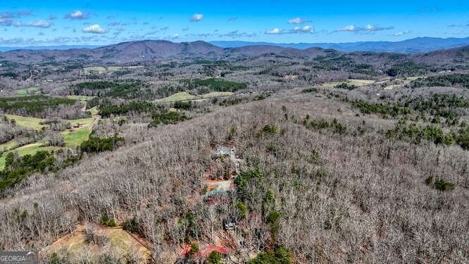 330 Mattie Lane Blairsville - Photo 59