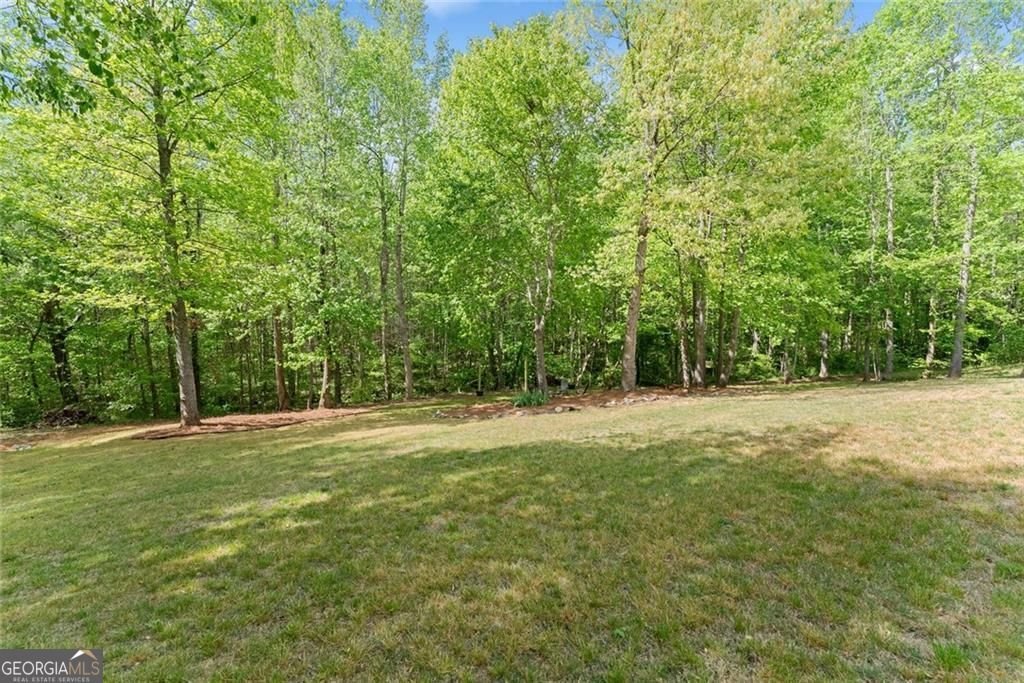 234 Glen Cedar Lane Dawsonville - Photo 53