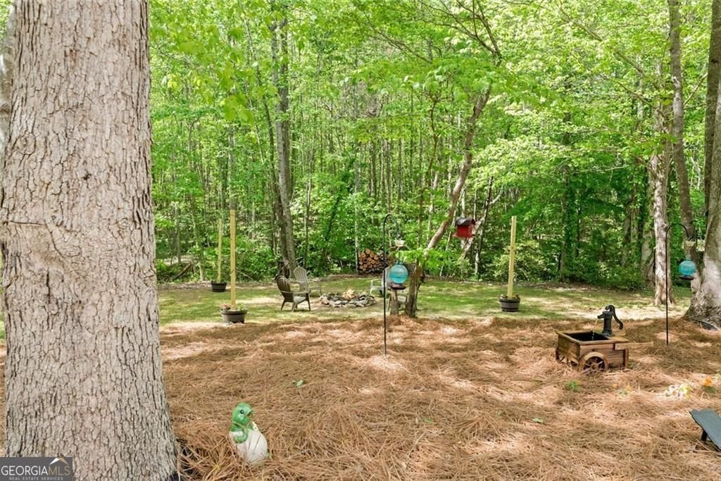 234 Glen Cedar Lane Dawsonville - Photo 54