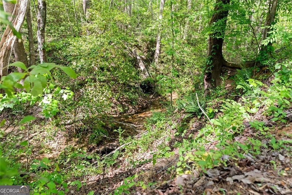 234 Glen Cedar Lane Dawsonville - Photo 57