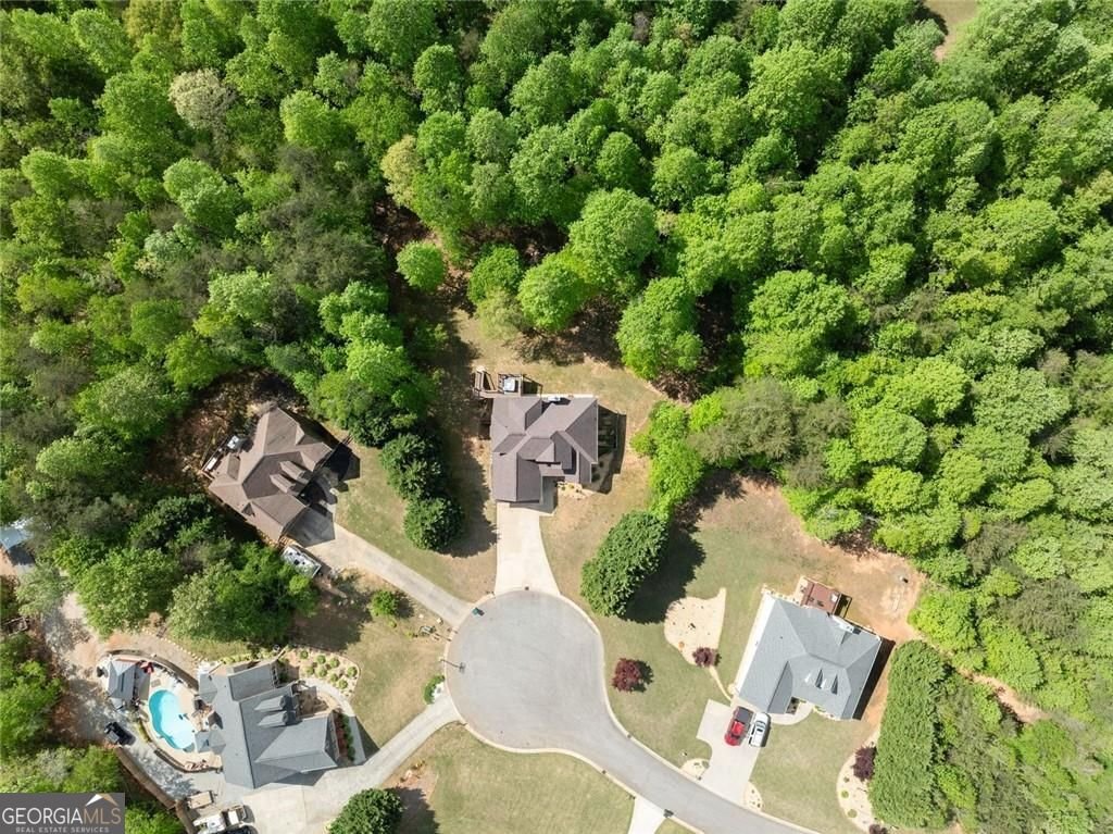 234 Glen Cedar Lane Dawsonville - Photo 59