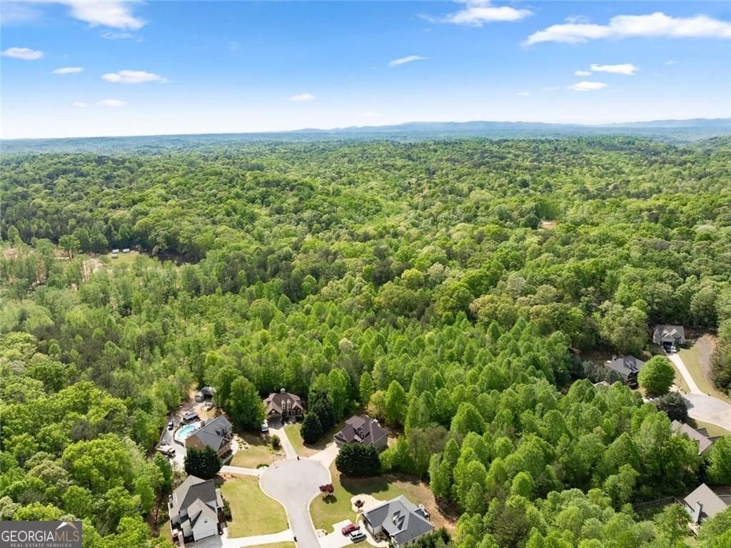 234 Glen Cedar Lane Dawsonville - Photo 60