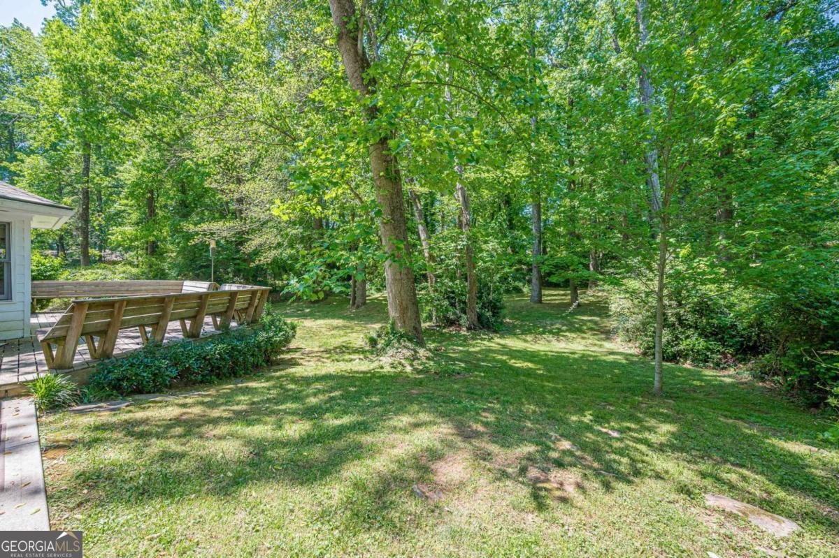 3928 Cloudland Drive Smyrna - Photo 53