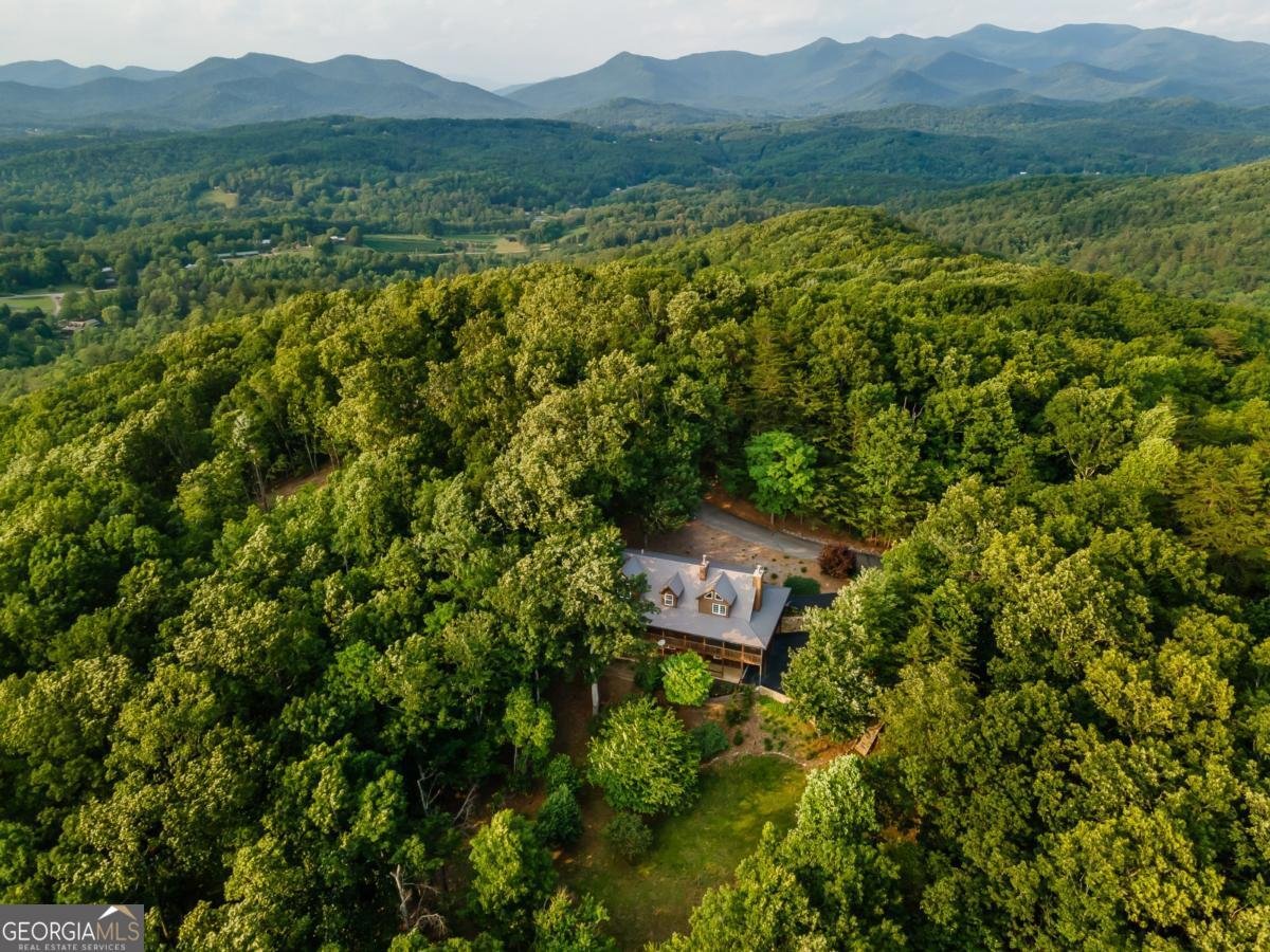 349 Moon Shadow View N Blairsville - Photo 10