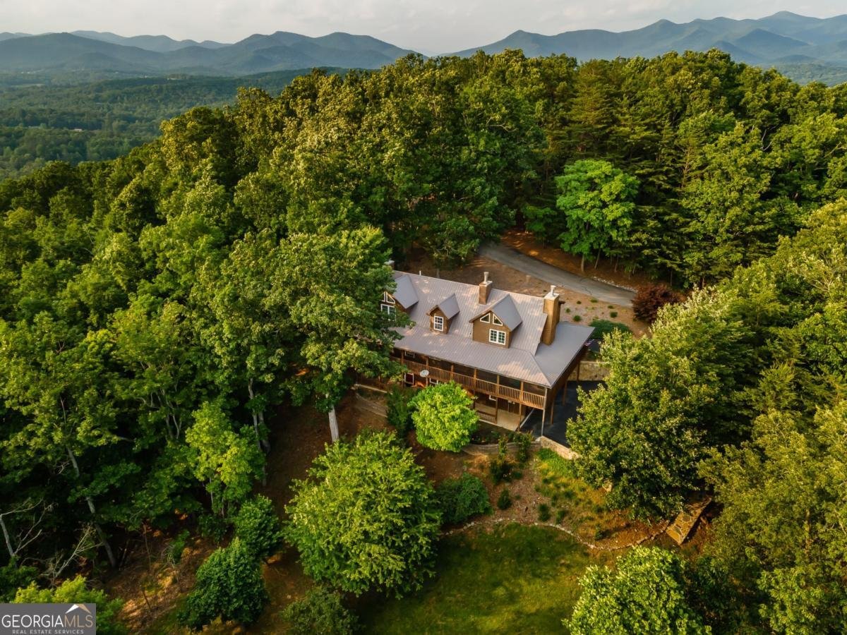 349 Moon Shadow View N Blairsville - Photo 7