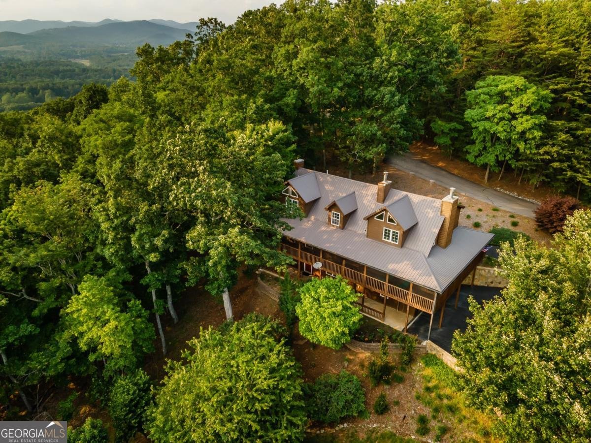 349 Moon Shadow View N Blairsville - Photo 8